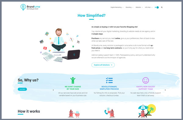 BrandLume Website Design Example