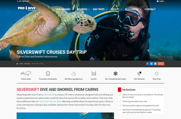 BrandLume Website Design Example