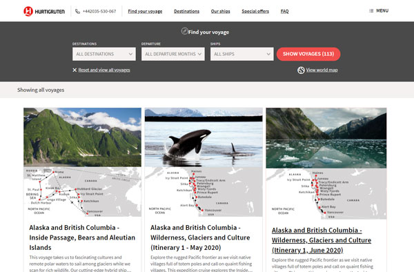 BrandLume Website Design Example