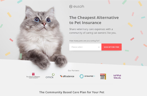 Eusoh Landing Page Example