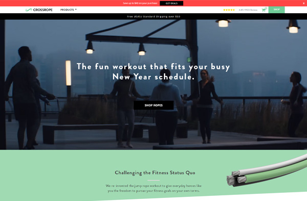 Previous Fitness Website Design Example