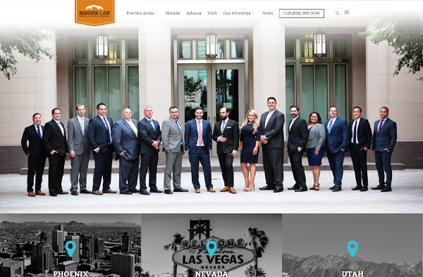 Previous Legal Website Design Sample