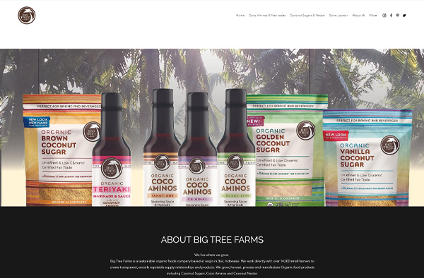 Previous Natural Product Store Website Design Example