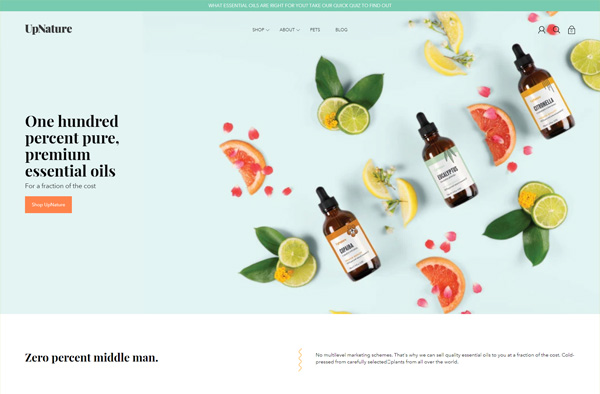 Previous Natural Store Website Design Example