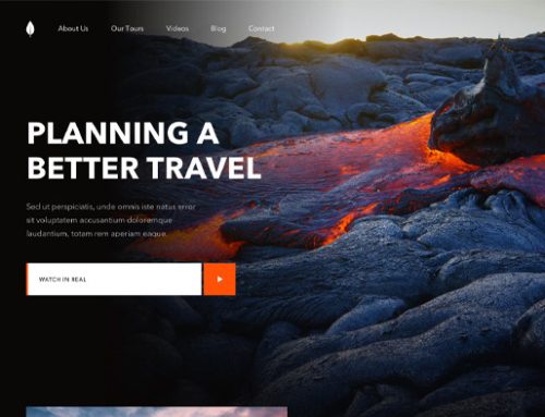 Previous Travel Website Design Example