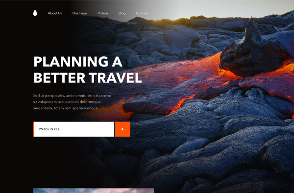 Previous Travel Website Design Example
